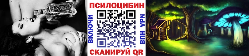 купить  цена  Петров Вал  Псилоцибиновые грибы Psilocybine cubensis 