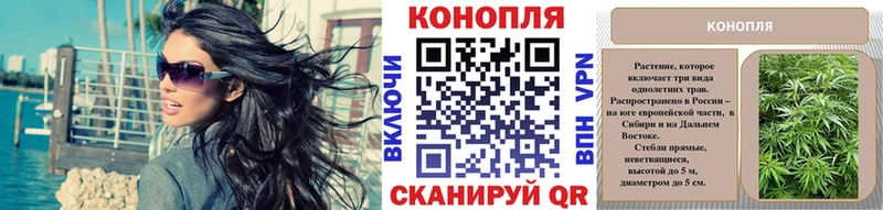 Бошки марихуана Bruce Banner  Петров Вал 